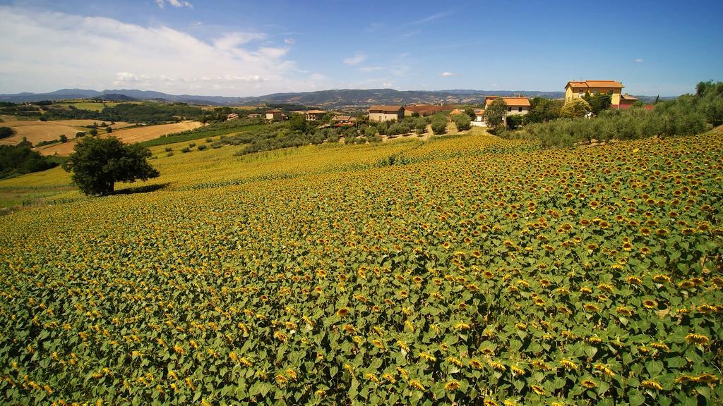 Colle San Giovanni Todi Eksteriør bilde